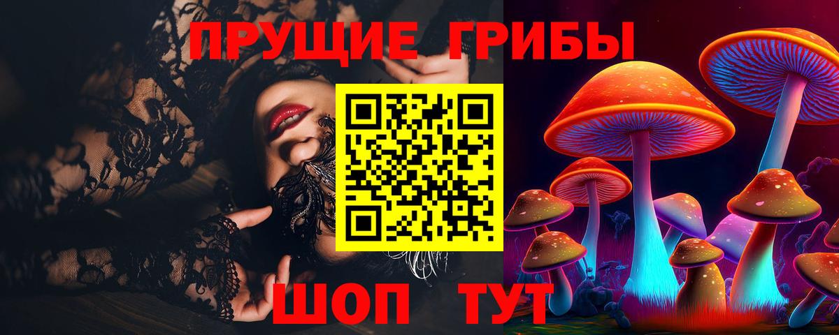 Азнакаево  Псилоцибиновые грибы прущие грибы  Вход с VPN  Галлюциногенные грибы мухоморы 